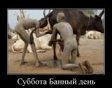 Суббота банный день