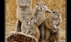 Семейно фото!!