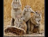 Семейно фото!!